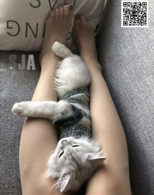 金品梅全集1一5集电视剧_BD国语在线观看电视