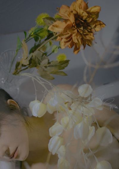 《完美世界》在线观看_成人直接看
